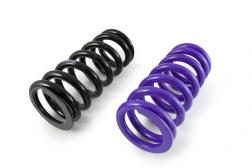 Combi kit ressorts progressifs - ESA - 20mm plus bas