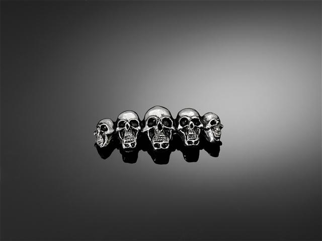 Emblem "'Skull Family" in chromeThe stable emblem will be a  ...