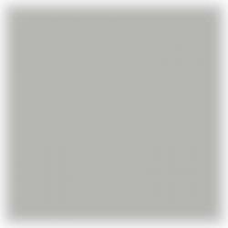 Racing windscherm - grijs getint