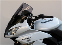 Racing windscreen - smoke grey
