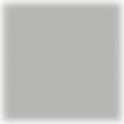 Bulle racing - fumé gris