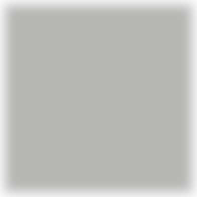 Racing windscreen - grey