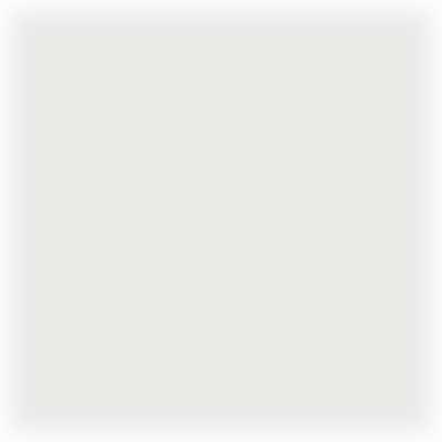 Racing windscreen - clear