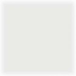 Racing windscreen - clear