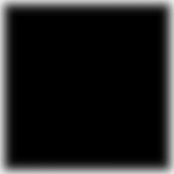 Racing windscherm - zwart