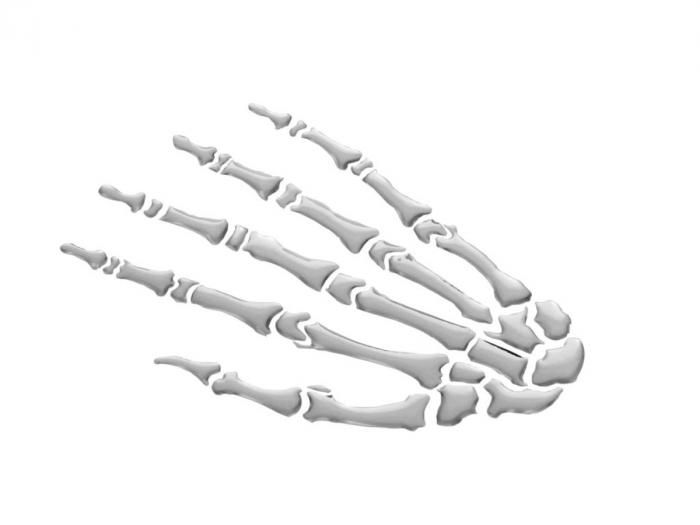 Sticker (2 pcs) "Skeleton Hand L+R"Trendy 3-D sticker for yo ...