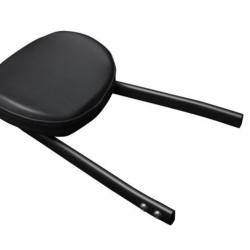 Sissy bar "Slot" in blackfor _x000D_
_x000D_
Harley Davidson: _x000D_
FLSTC He ...