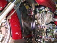 Radiator Cover chromefor _x000D_
_x000D_
Honda VT 750 Shadow / RC50 _x000D_
Ho ...