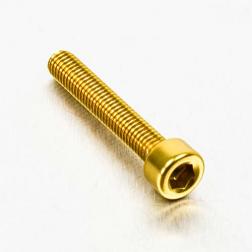 Alu Inbusbout M5 x (0.8mm) x 30mm - Goud