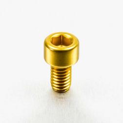 Alu Inbusbout M6 x (1.00mm) x 10mm - Goud