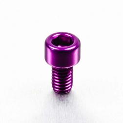 Alu Inbusbout M6 x (1.00mm) x 10mm - Paars