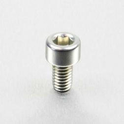 Alu Inbusbout M6 x (1.00mm) x 10mm - Zilver