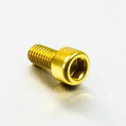 Alu Inbusbout M6 x (1.00mm) x 12mm - Goud