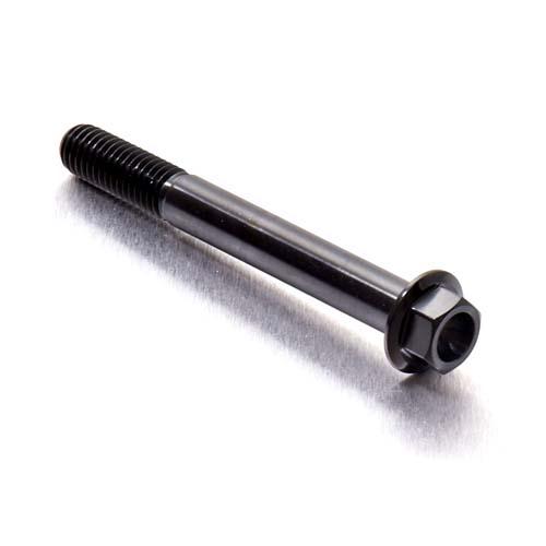 Titanium Zeskantkop M8 x (1.25mm) x 70mm - Zwart