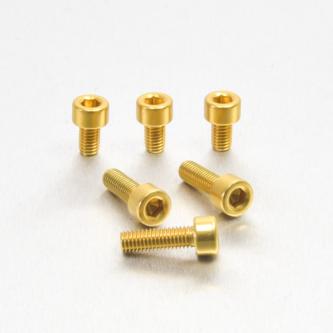Kit Vis Trappe de Réservoir en Alu Kawasaki/Autres - Or