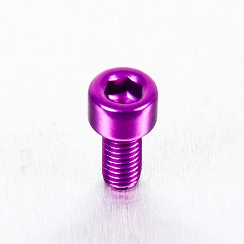 Alu Inbusbout M5 x (0.8mm) x 10mm - Paars