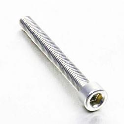 Alu Inbusbout M6 x (1.00mm) x 55mm - Zilver