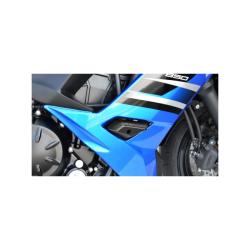 Valbeschermingsset - Kawasaki Ninja 650 (17-19)