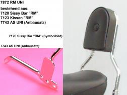 PROMO - NETTOPRIJS - Sissy Bar